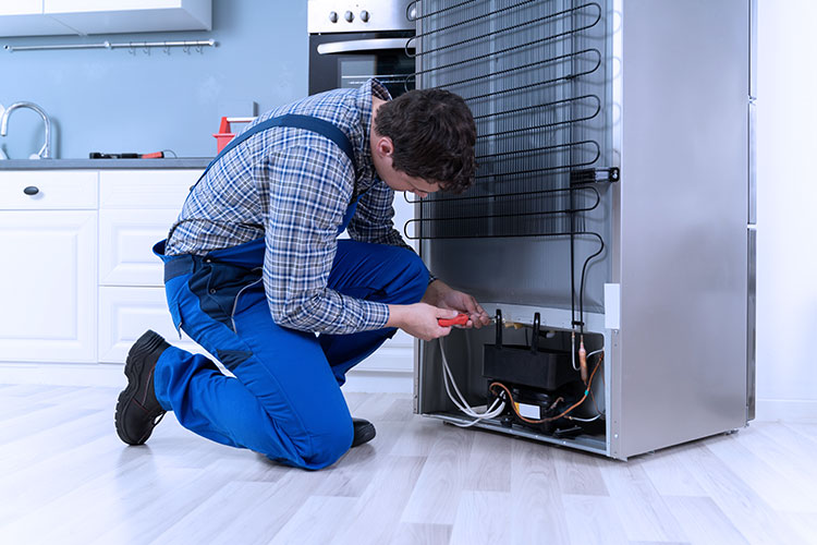 Same Day Appliance Repair Services
