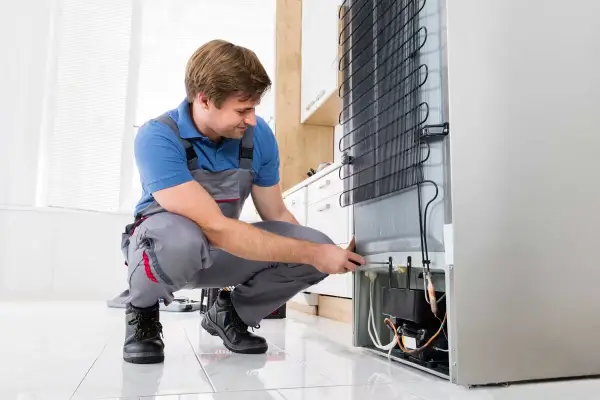 Technician is fixing Fridge