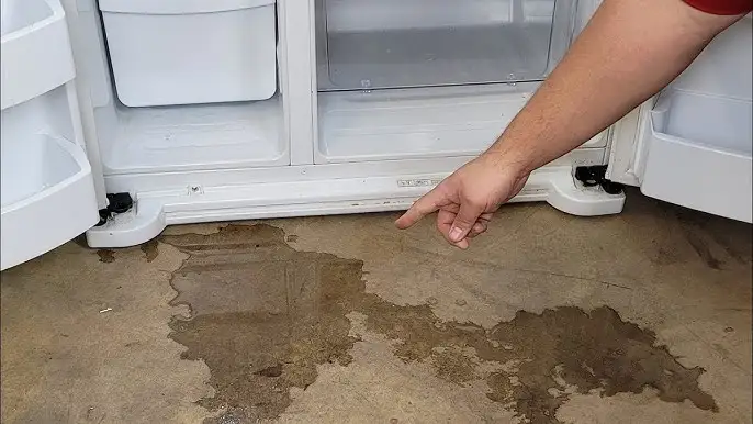 Refrigerator Leaking Water